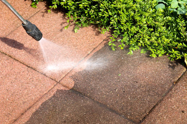 Local Pressure Washing Services in Colonial Beach, VA